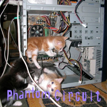 Phantom Circuit 315